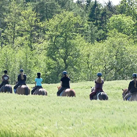 Dom wakacyjny Luxuswellnesshaus Strandhus